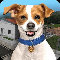 动物收容所模拟器手机版