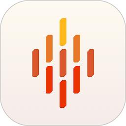 brisk it grills软件