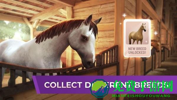 马术世界巡回赛最新版