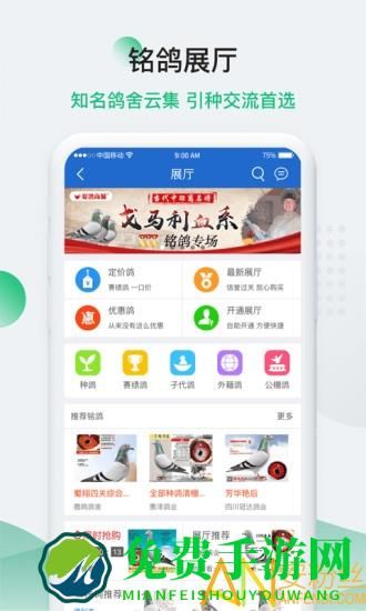 中国信鸽信息网官方版
