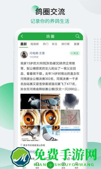 中国赛鸽信息网查询(改名为中国信鸽信息网)