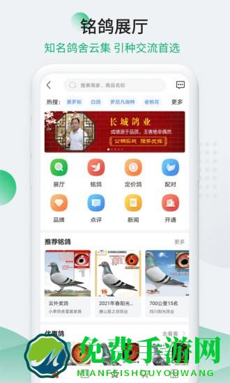 中国赛鸽信息网查询(改名为中国信鸽信息网)