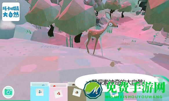 托卡城镇大自然游戏