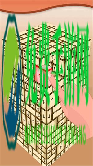 指尖狂欢盛宴解方块