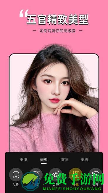 视频美颜专家软件