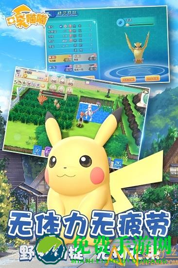 口袋喵喵内购破解版