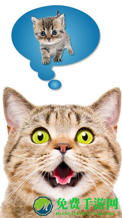 猫语翻译模拟器手机版