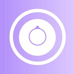 决定器大转盘最新版