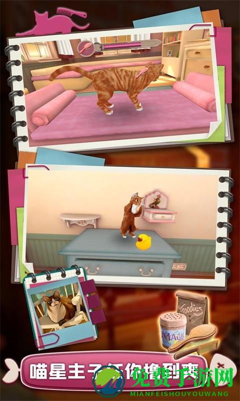 撸猫模拟器游戏