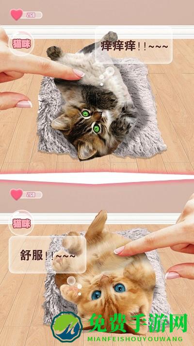 猫咪语言翻译器最新版