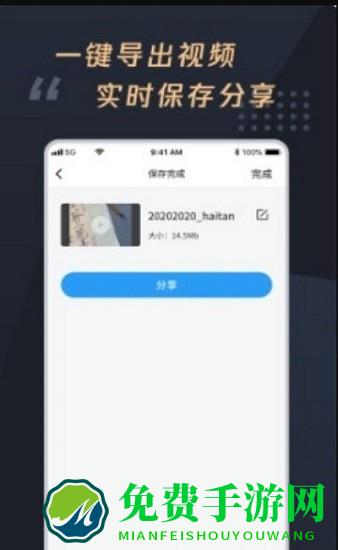 视频加字幕大师