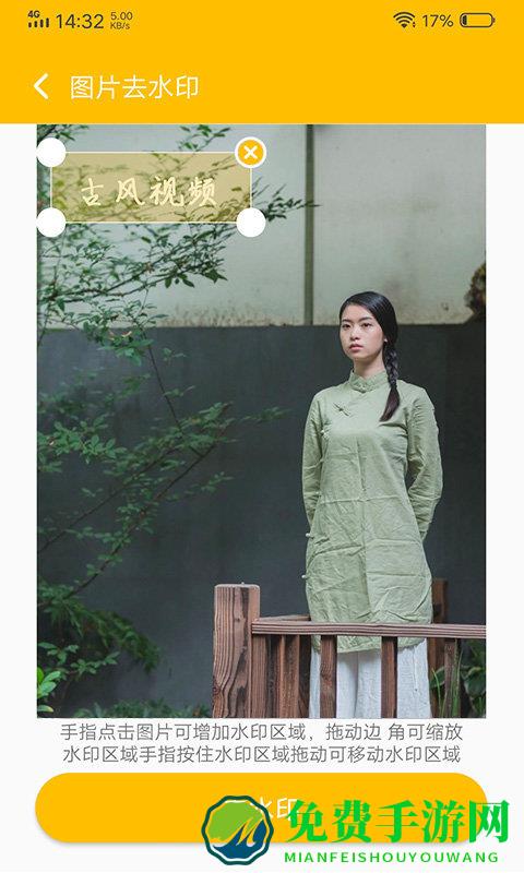 中企去水印专家app