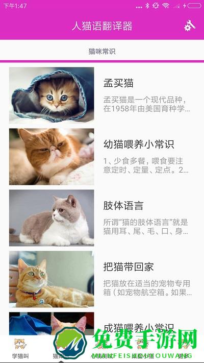 人猫语翻译器app免费