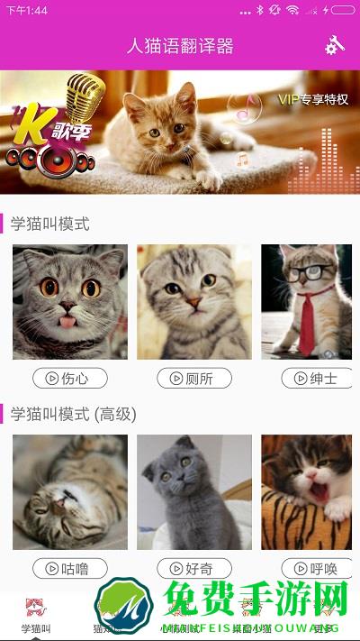 人猫语翻译器app免费