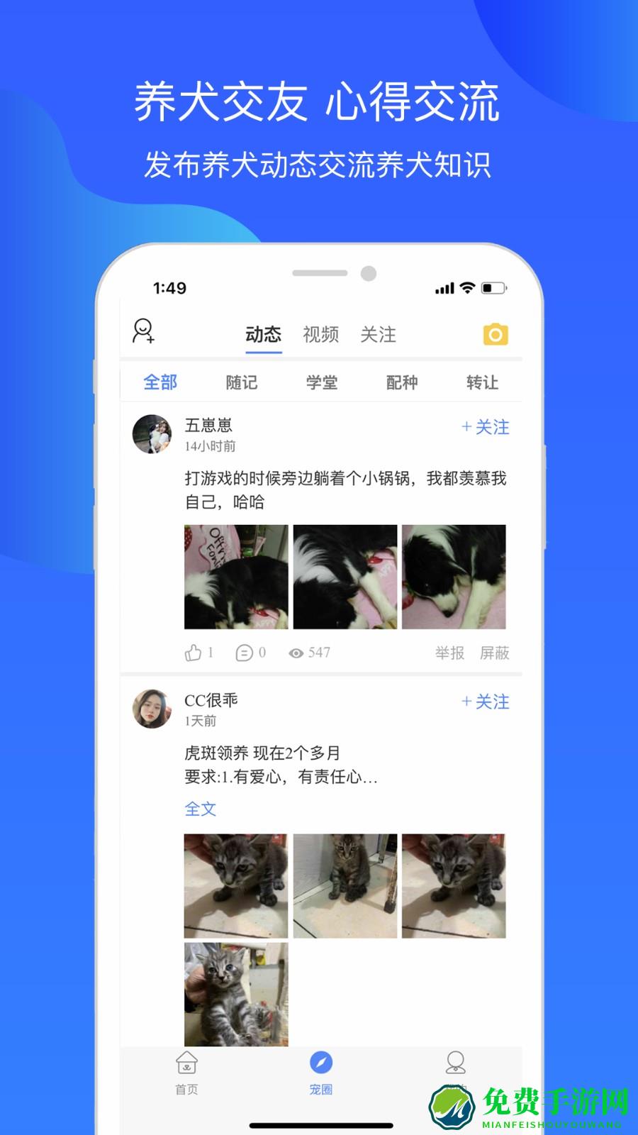 犬卫士app