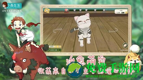 小森生活无限内购正式