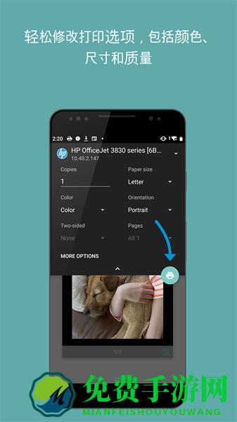 HP打印服务插件