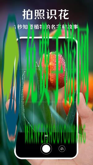 一键拍照识花