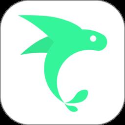 飞鱼长计划官方版