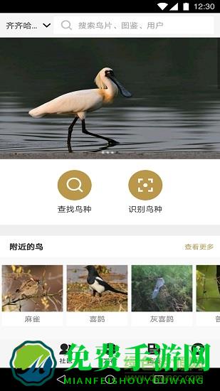 识鸟家app