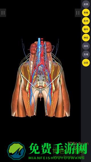 安卓3d body正式版