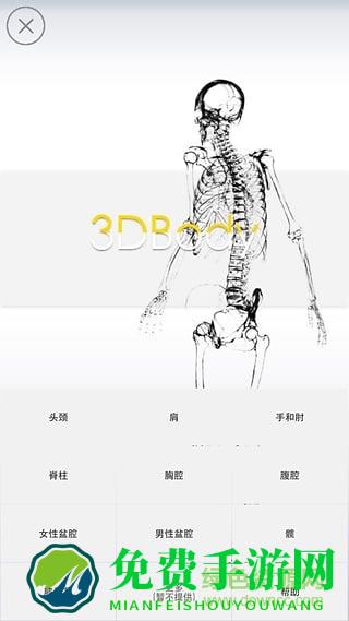 3dbody8.0中文正式版