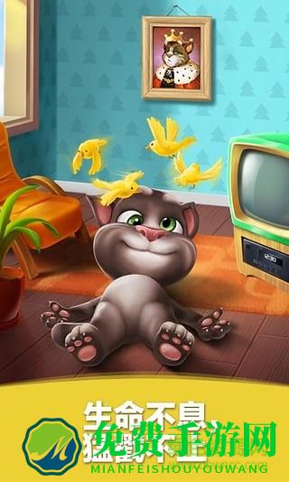 我的汤姆猫2百度版