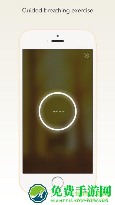 wildfulness2软件下载