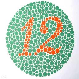 金百检测色弱官方版