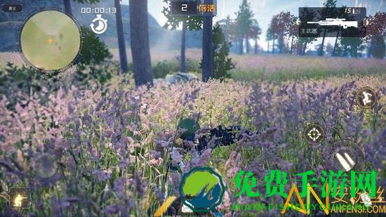 丛林法则完整版