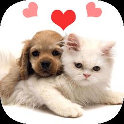 人猫狗翻译器最新版