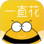 一直花