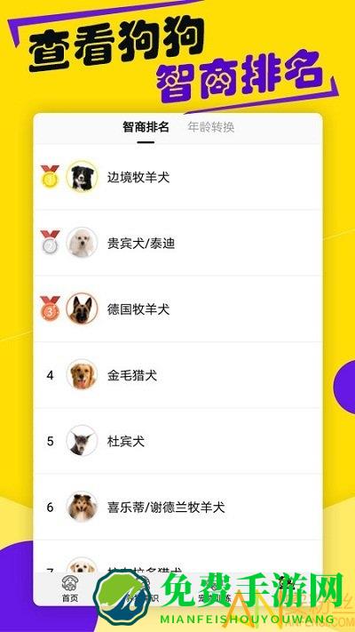 狗语翻译器下载免费版中文版