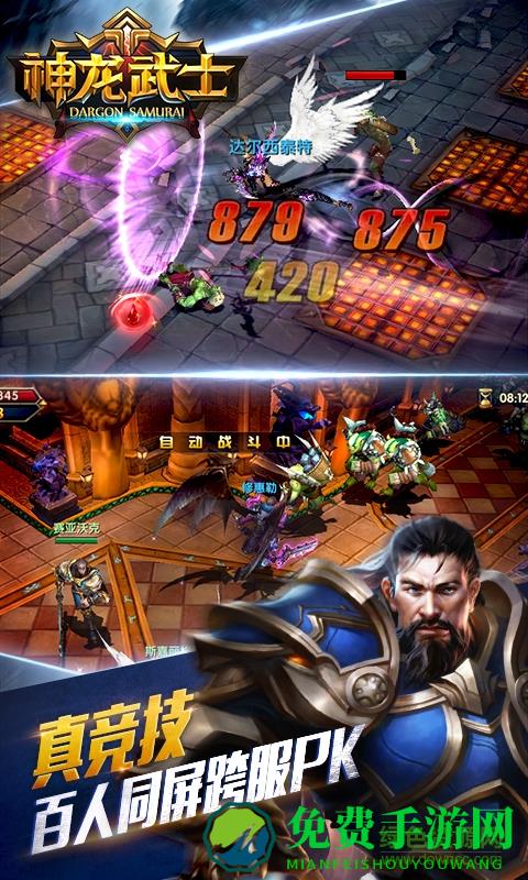 神龙武士中华英雄游戏