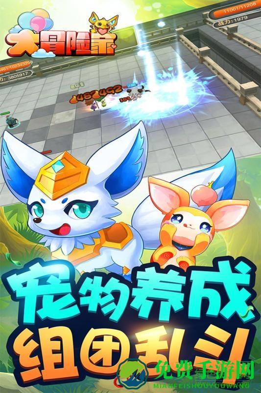 大冒险家游戏测试服