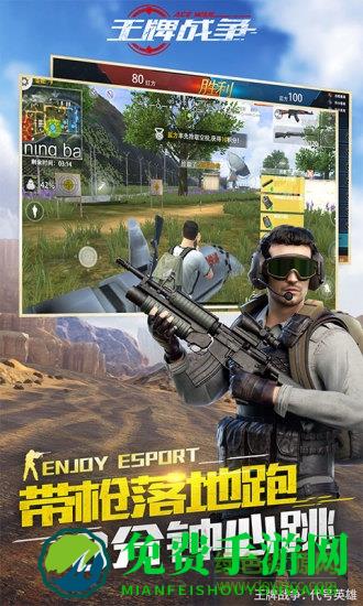 王牌战争游戏快手版