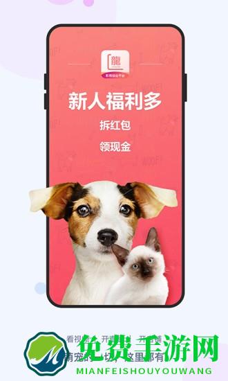 龙平台影视app