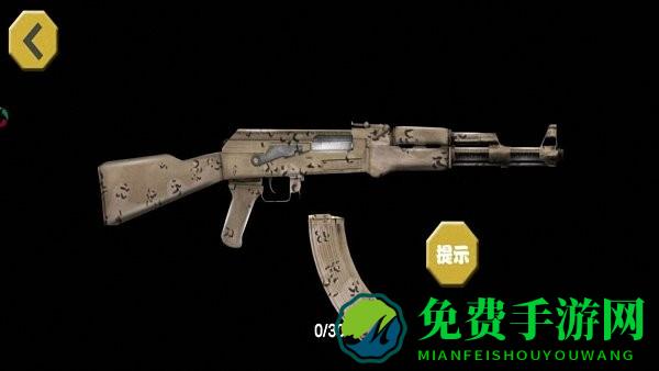 枪械玩的贼六游戏