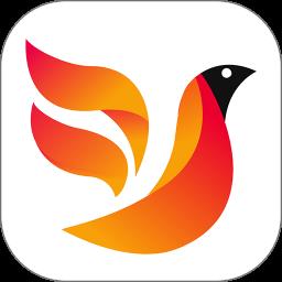 火鸟门户最新版
