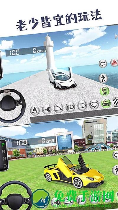 模拟驾驶高手
