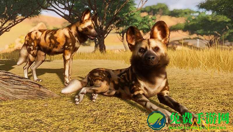 动物园之星豪华版手游