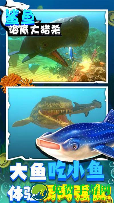 鲨鱼海底大猎杀