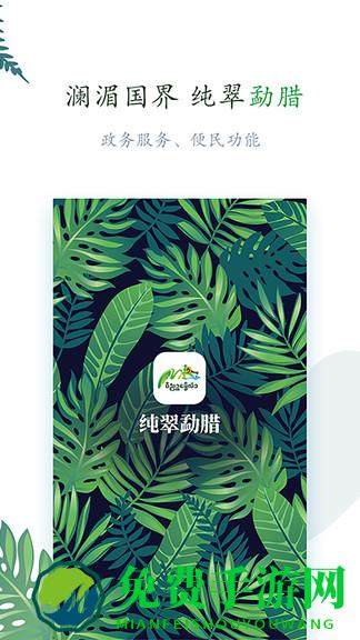 纯翠勐腊最新版