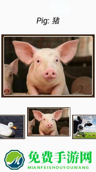 动物和声音软件