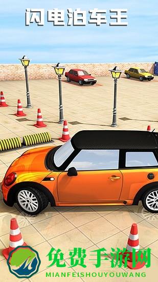 闪电泊车王