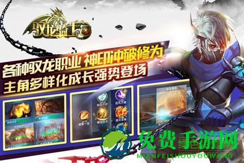 驭龙骑士团手游九游版