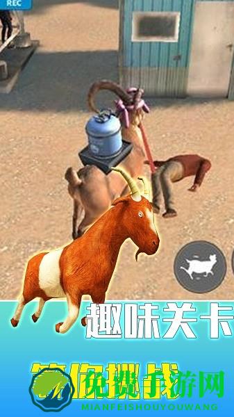 疯狂动物调查局官方版