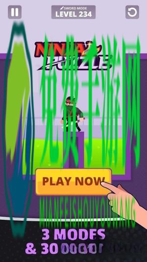 忍者之谜最新版