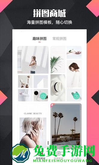 拼图去水印pro app下载