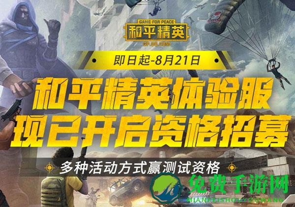 和平精英体验服手游